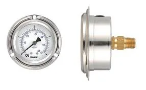Pressure gauge 1 bar 1/2" NPT