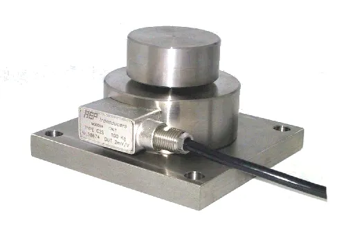 C2S-AMP 2