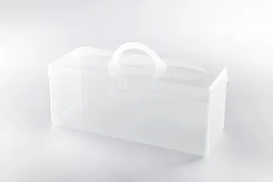 Case